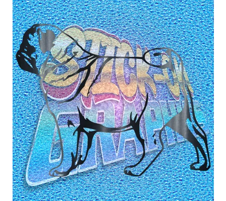 Pug 008