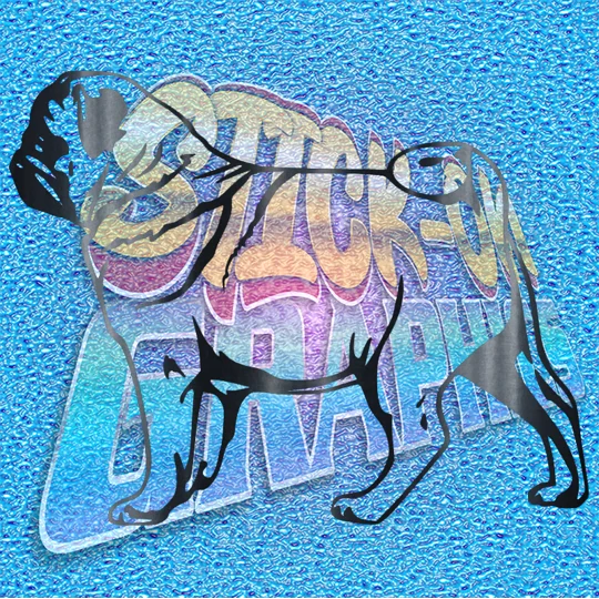 Pug 008