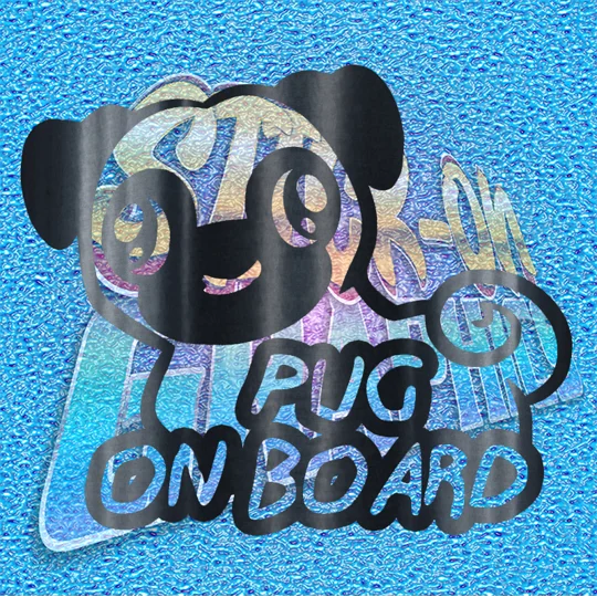 Pug On Board 002