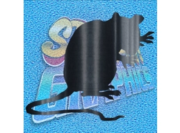 Rat 001
