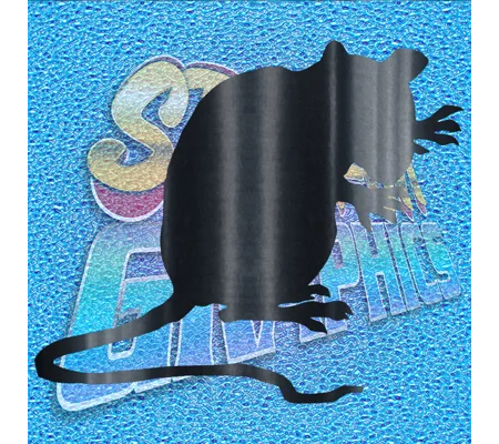 Rat 001