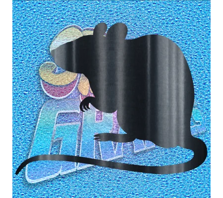Rat 002