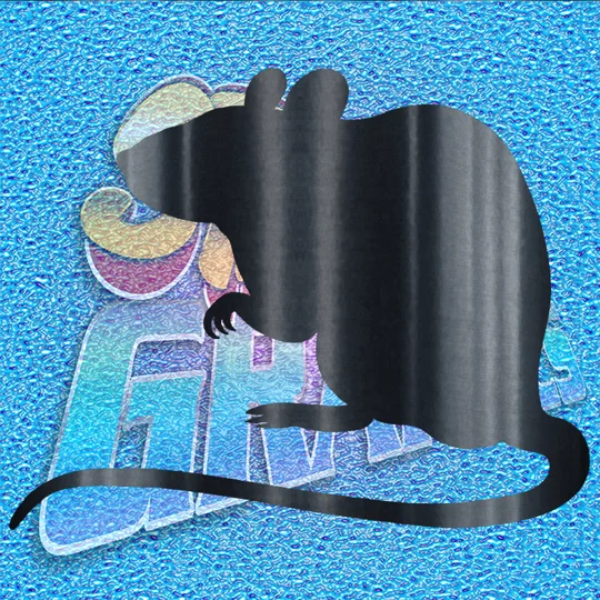 Rat 002