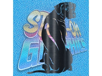 Rhodesian Ridgeback 002