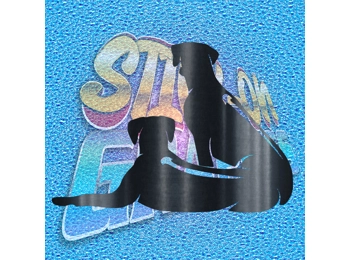 Rhodesian Ridgeback 004