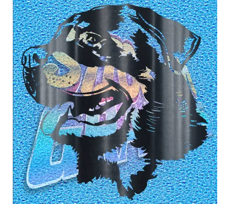 Rottweiler 010