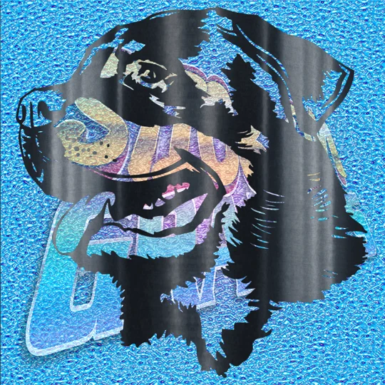 Rottweiler 010