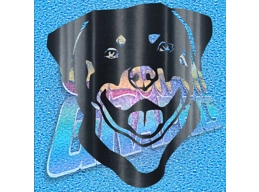 Rottweiler 011