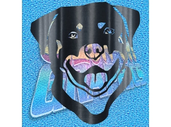 Rottweiler 011