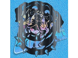 Rottweiler 003