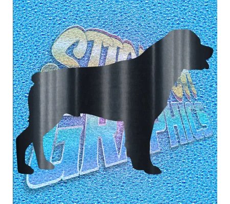 Rottweiler 004
