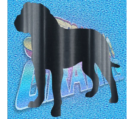 Rottweiler 005