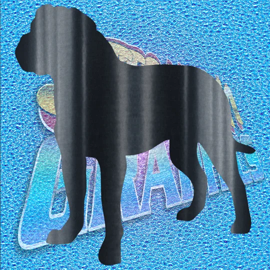Rottweiler 005
