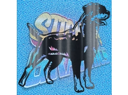 Rottweiler 006