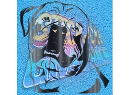 Rottweiler 007