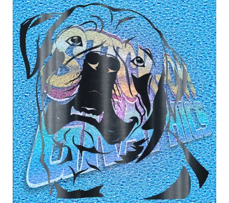 Rottweiler 007