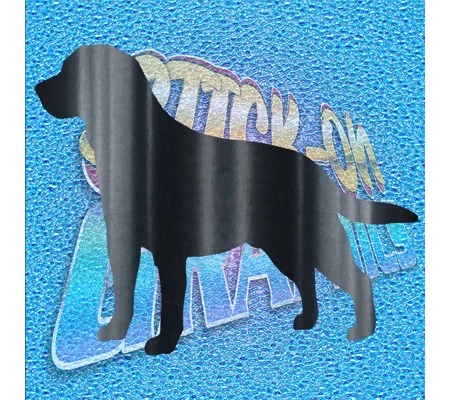 Setter 001