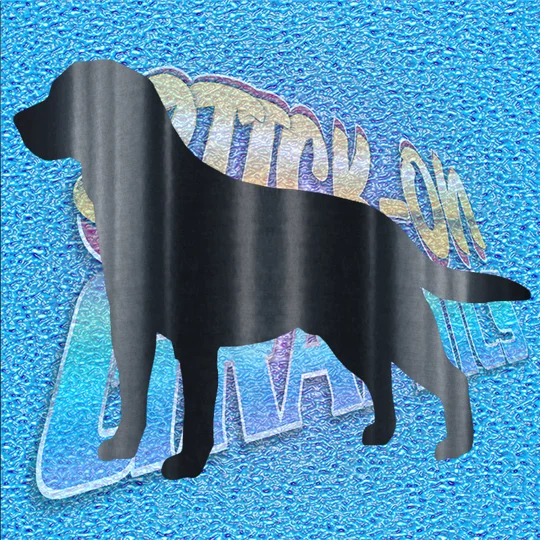 Setter 001