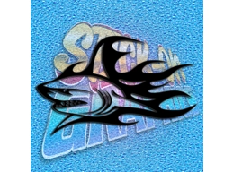 Shark 004