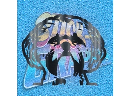 Shih-Tzu 011
