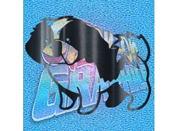 Shih-Tzu 014