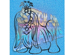 Shih-Tzu 003