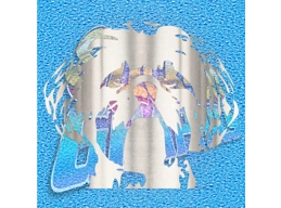 Shih-Tzu 011 neg