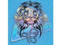 Sikh 003