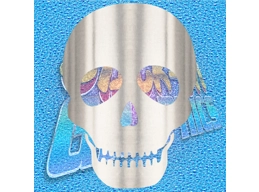 Skull 001