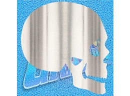 Skull 002