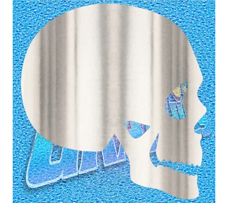 Skull 002