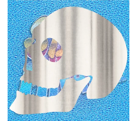 Skull 003