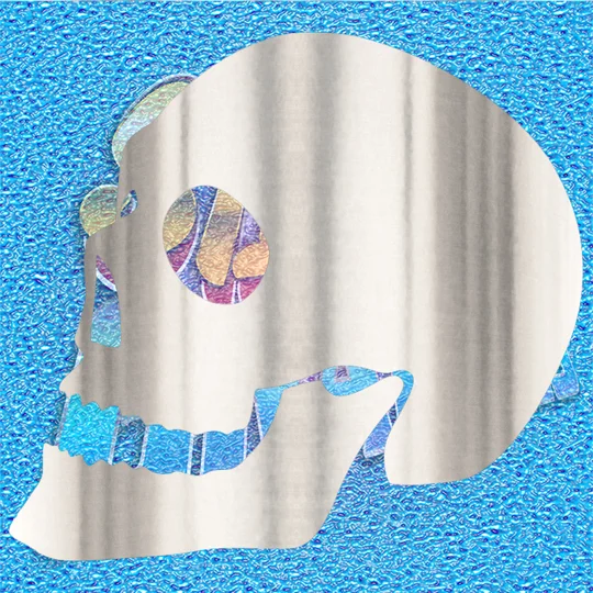Skull 003