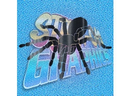 Spider 002