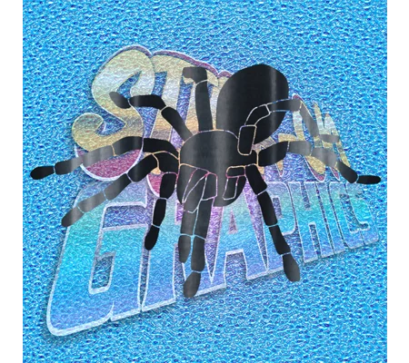Spider 002