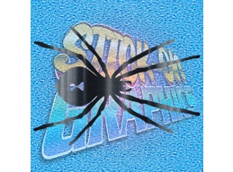 Spider 004
