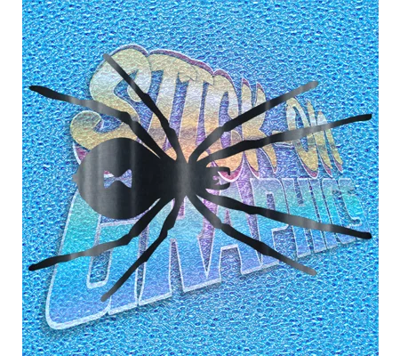 Spider 004