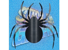 Spider 005