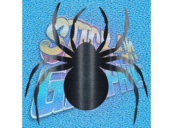 Spider 005