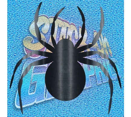 Spider 005