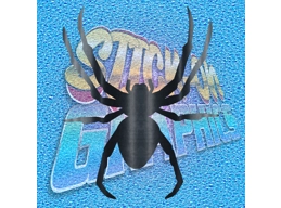 Spider 006