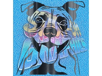 Staffordshire Terrier 011