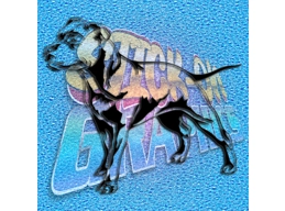 Staffordshire Terrier 013