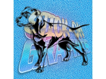 Staffordshire Terrier 013