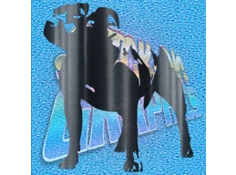 Staffordshire Terrier 002