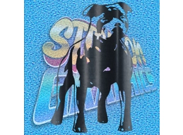 Staffordshire Terrier 003