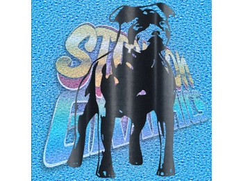 Staffordshire Terrier 003