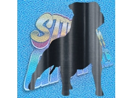 Staffordshire Terrier 007