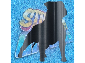 Staffordshire Terrier 007