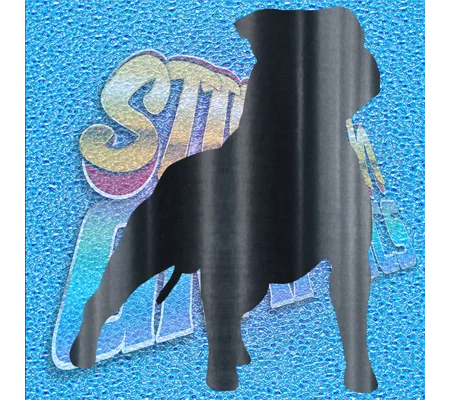 Staffordshire Terrier 007